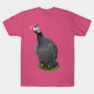 Helmeted Guineafowl T-Shirt